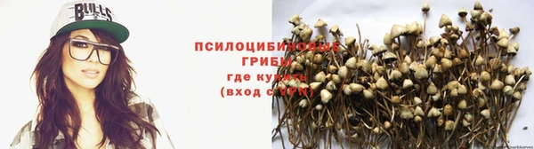 прущие грибы Покачи