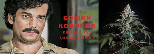 прущие грибы Покачи
