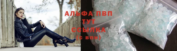прущие грибы Покачи