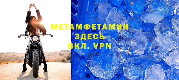 прущие грибы Покачи