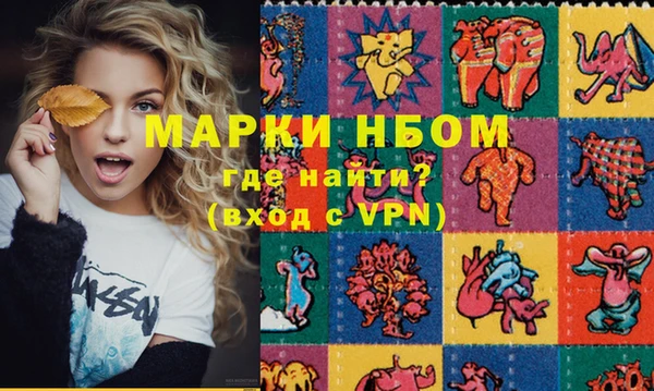 прущие грибы Покачи