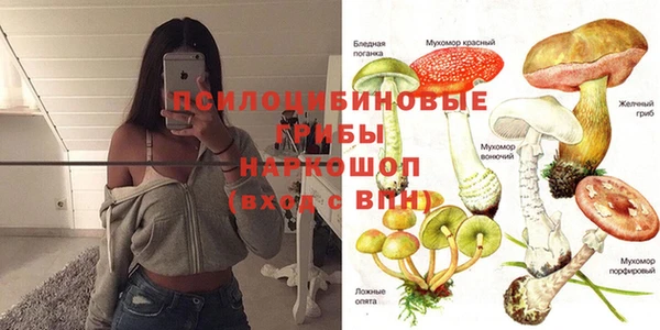 ешки Чекалин