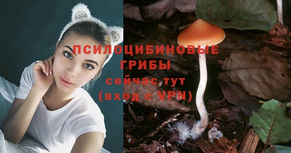 mdma Чердынь