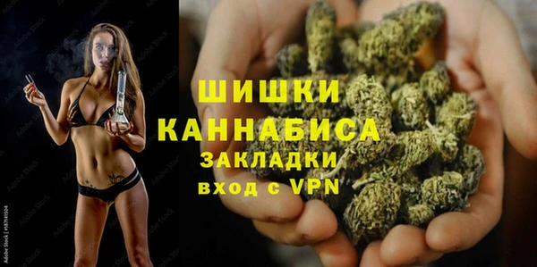 прущие грибы Покачи