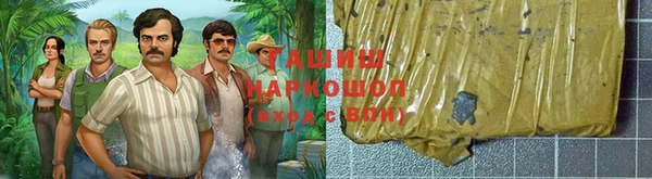 прущие грибы Покачи