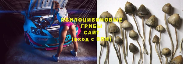бутик Чегем