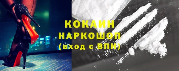 прущие грибы Покачи