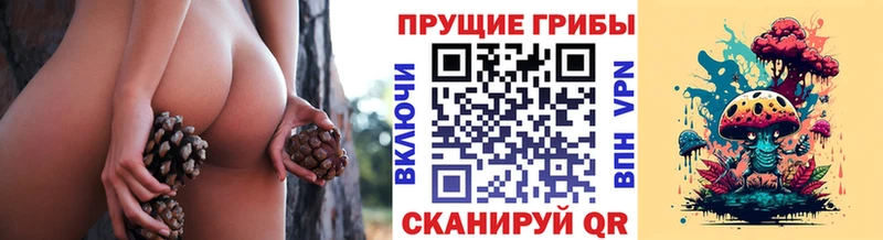 Галлюциногенные грибы мицелий Алдан